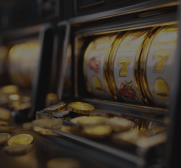 Rollbit